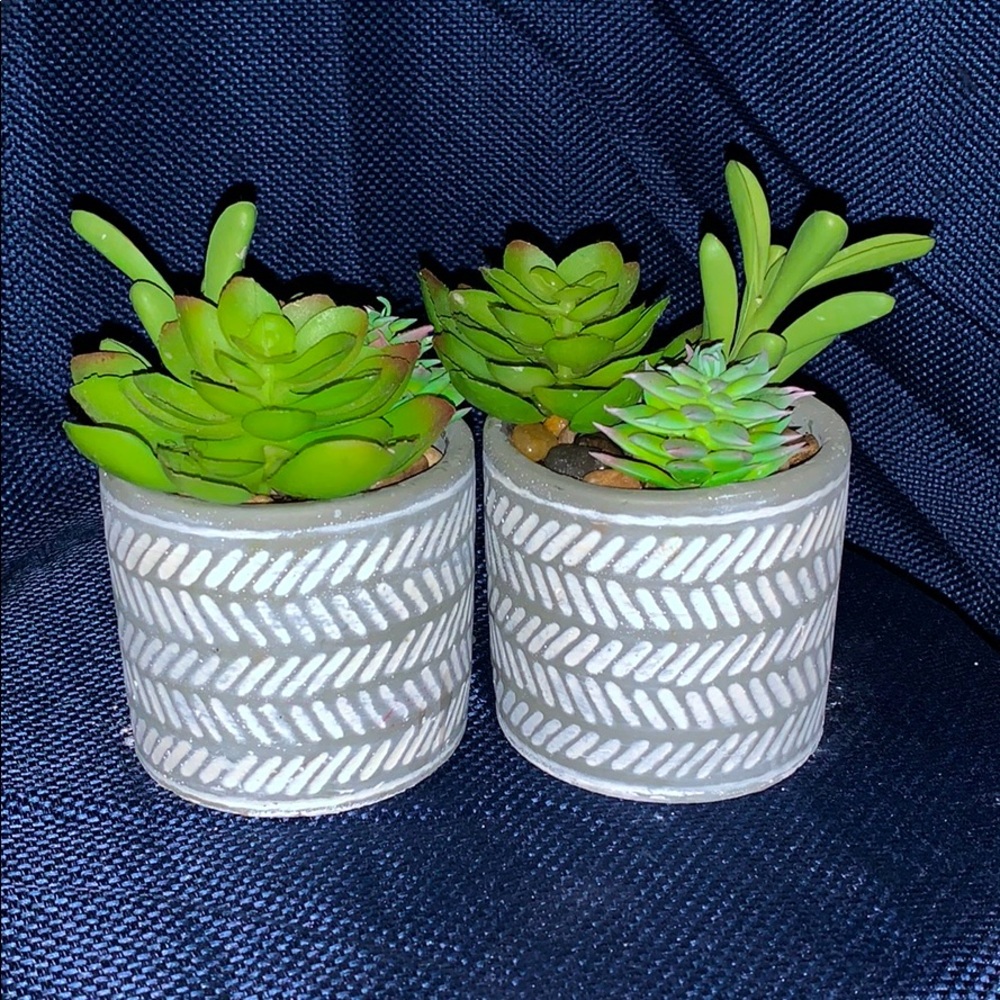 Faux plant set
